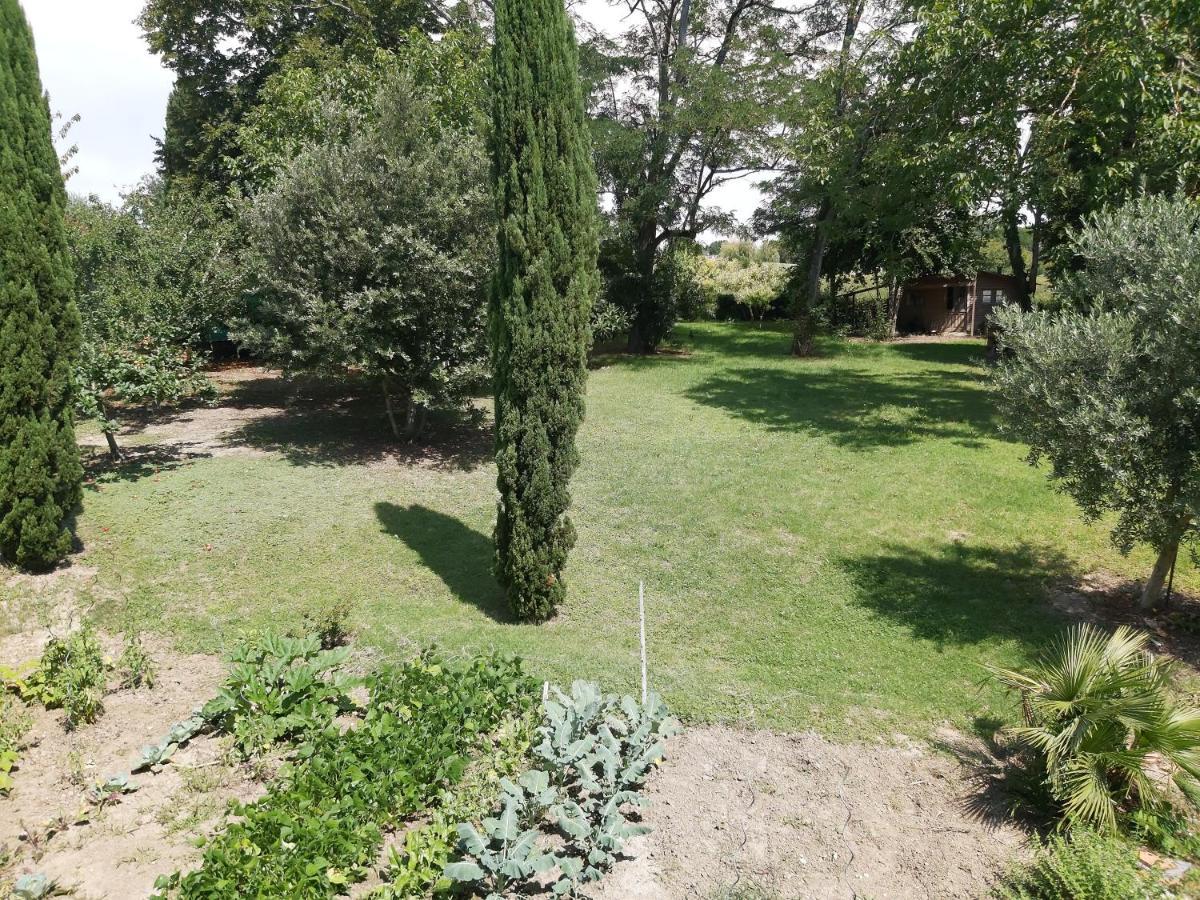 O Nature Cheris Mes Voeux Avant Qu'Ils S'Enfuient Francescas Luaran gambar