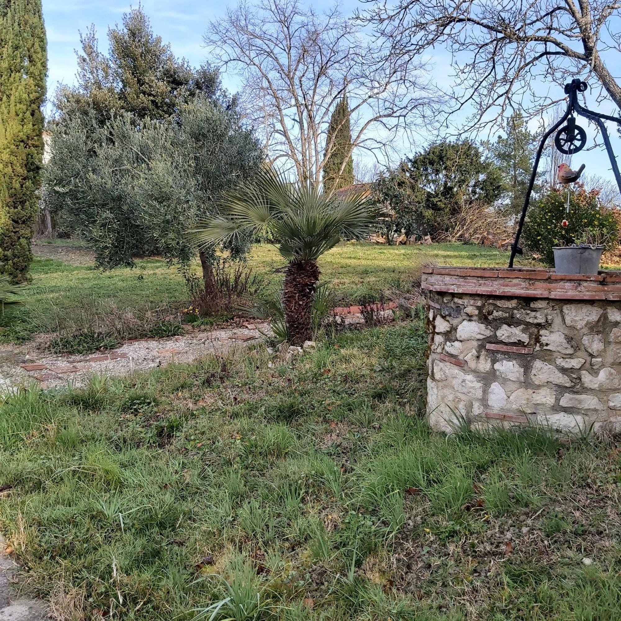 O Nature Cheris Mes Voeux Avant Qu'Ils S'Enfuient Francescas Luaran gambar